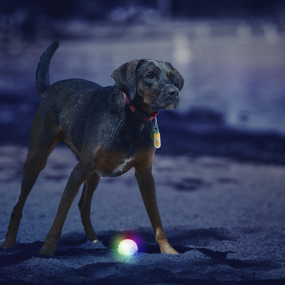 Nite Ize GlowStreak LED Ball Disc-O