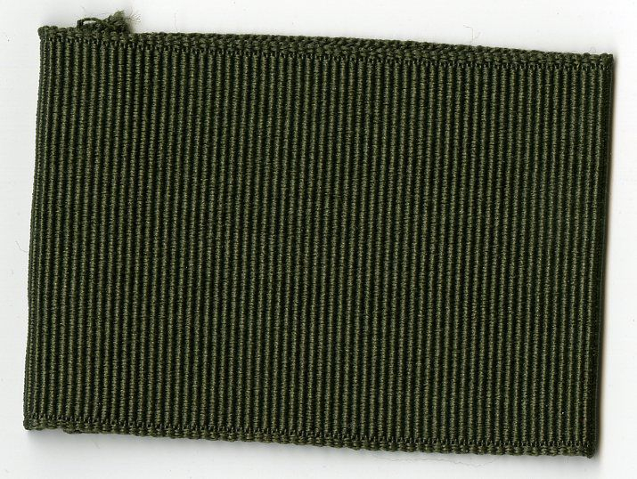 Scouts BSA Shoulder Loops