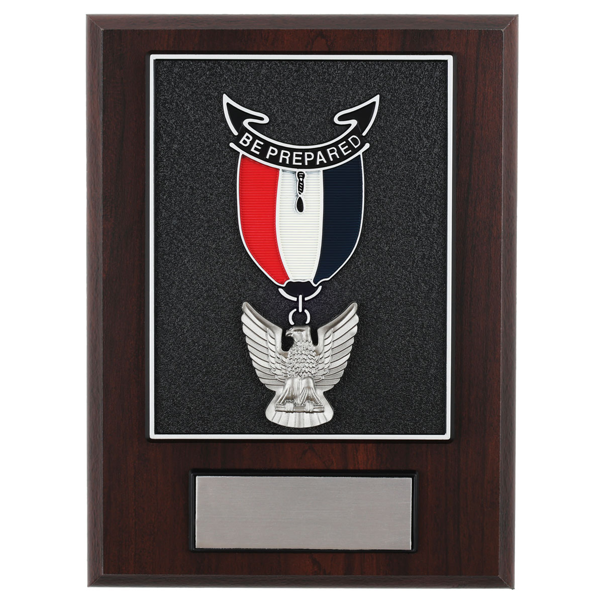 Eagle Scout Medal Wall Plaque, Custom