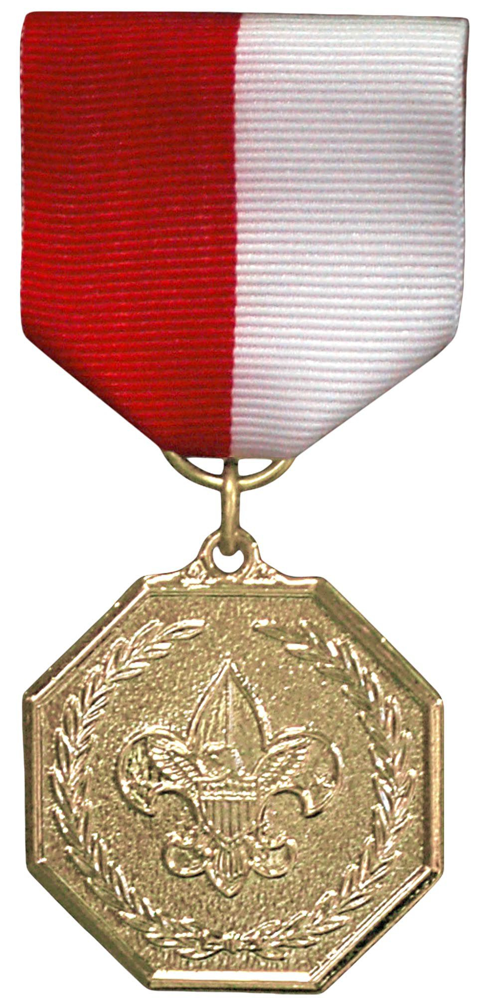 Scouts BSA Gold Medal