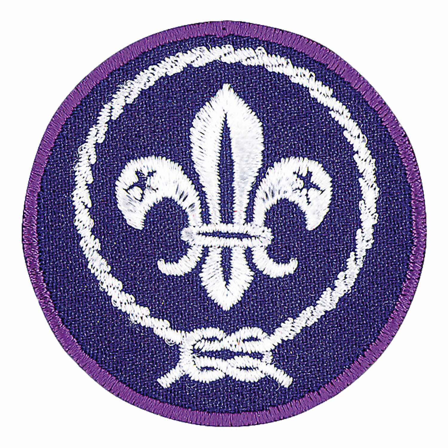 World Crest Scout Emblem
