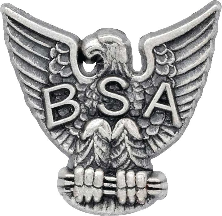 Eagle Scout Pin, Sterling Silver