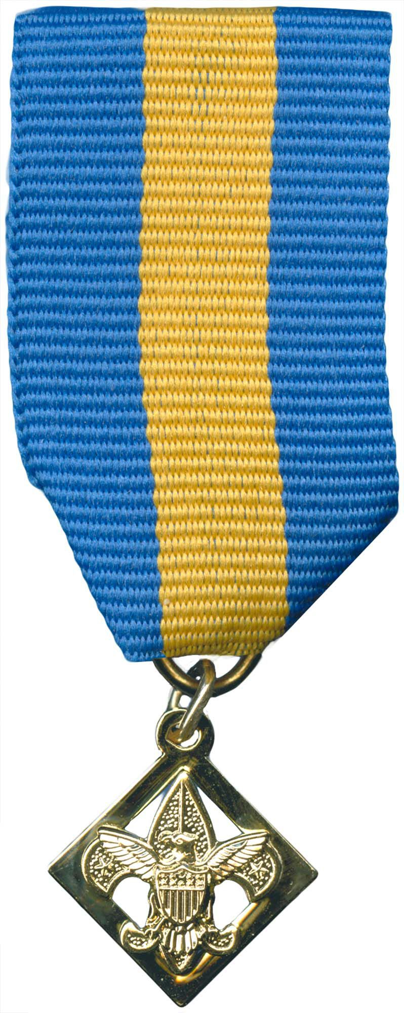 Cub Scout Den Leader Training Award Medal