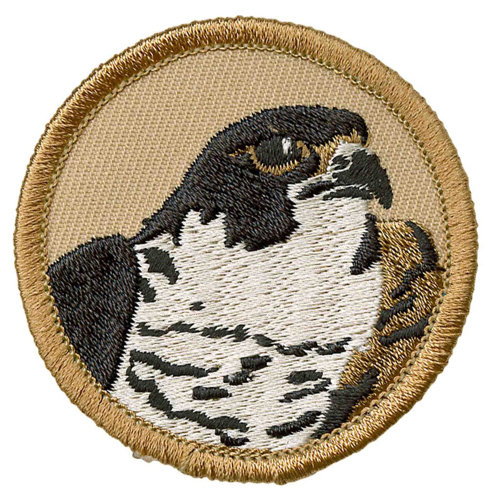 Falcon Patrol Emblem