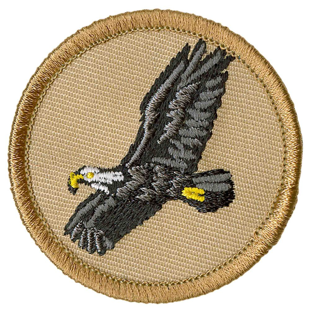 Flying Eagle Patrol Emblem