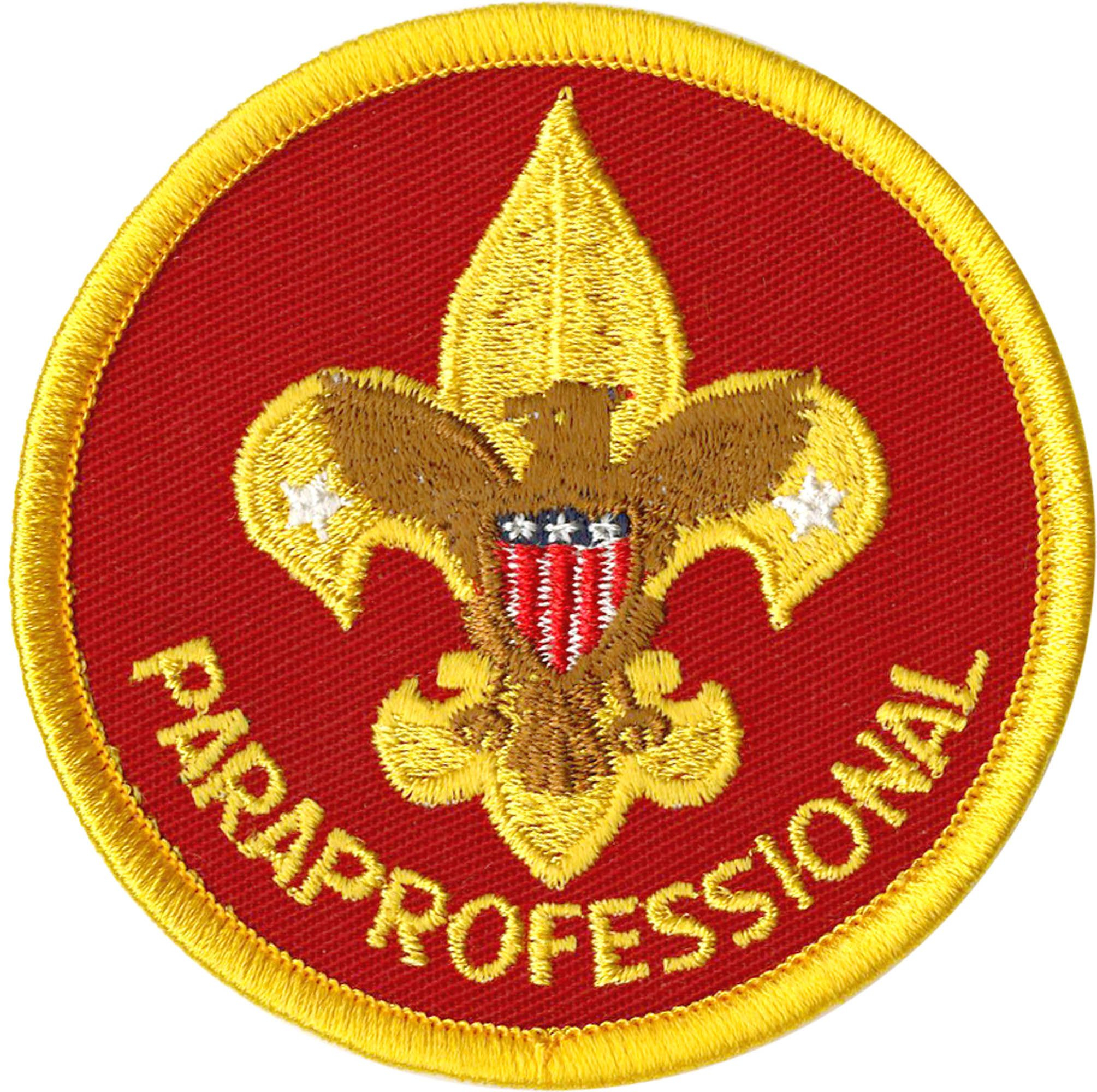 Paraprofessional Emblem 1 Paraprofessional Emblem