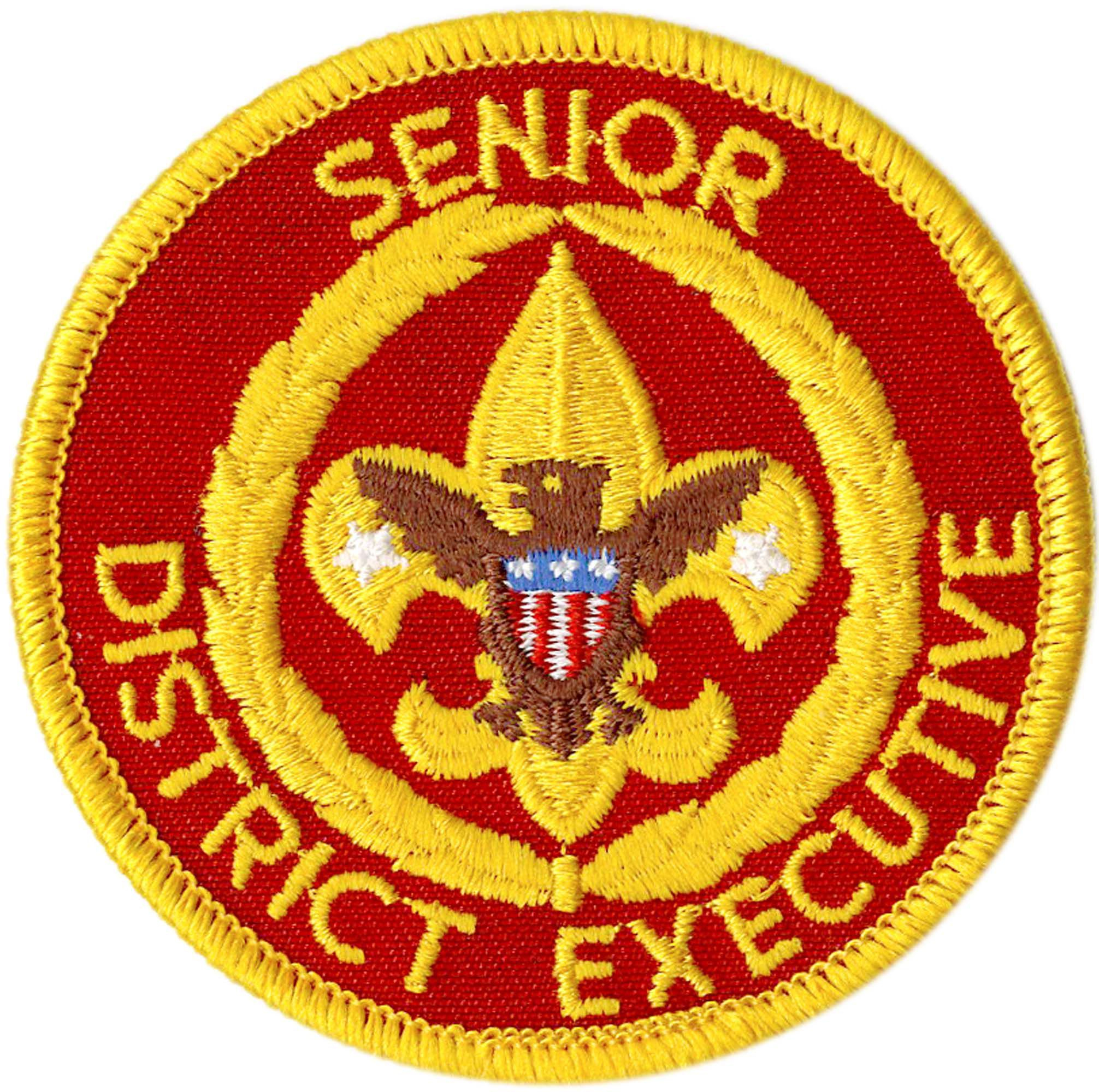Senior District Executive Emblem