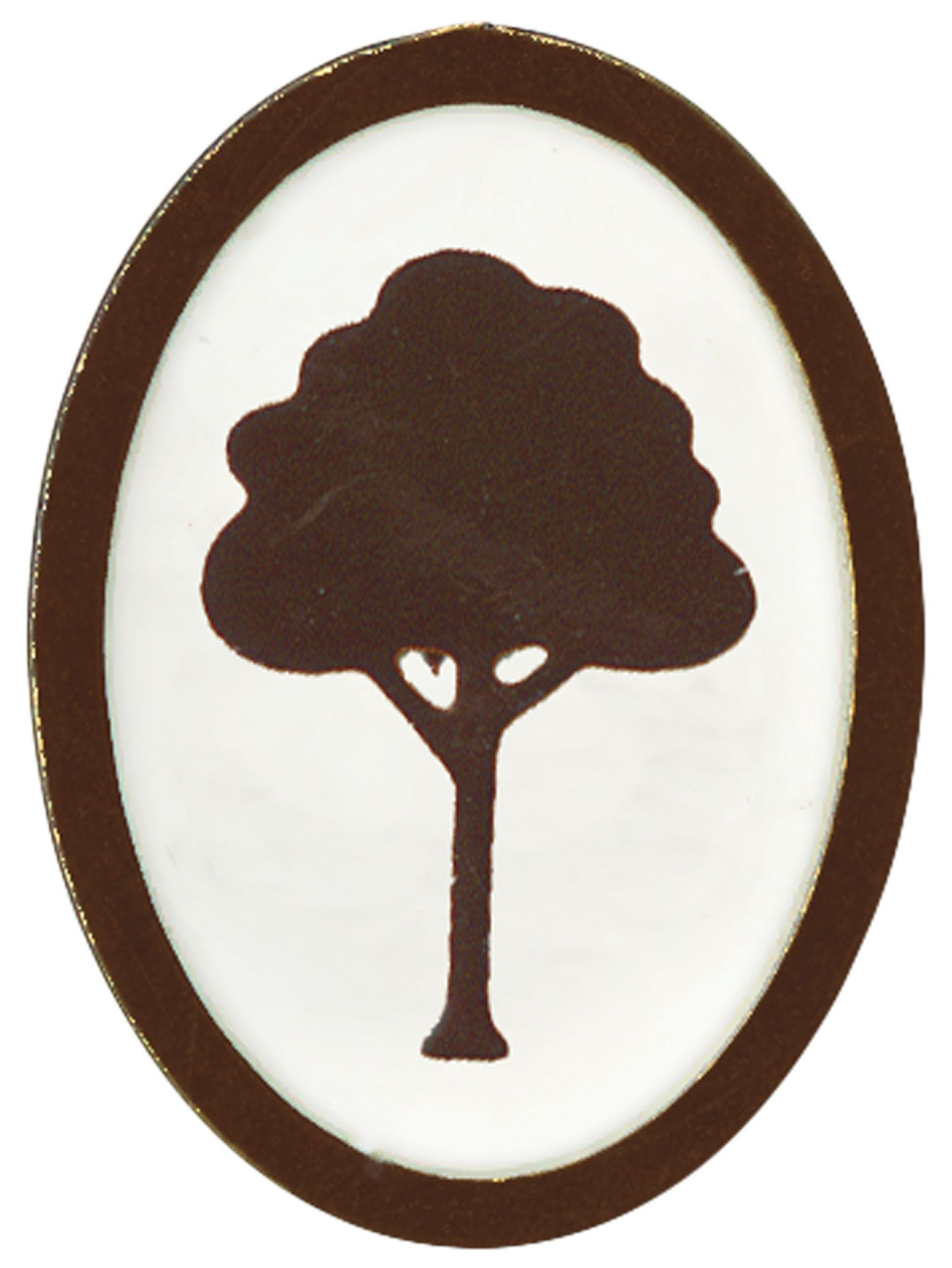 Webelos Arrow of Light Elective Pin - Into the Woods
