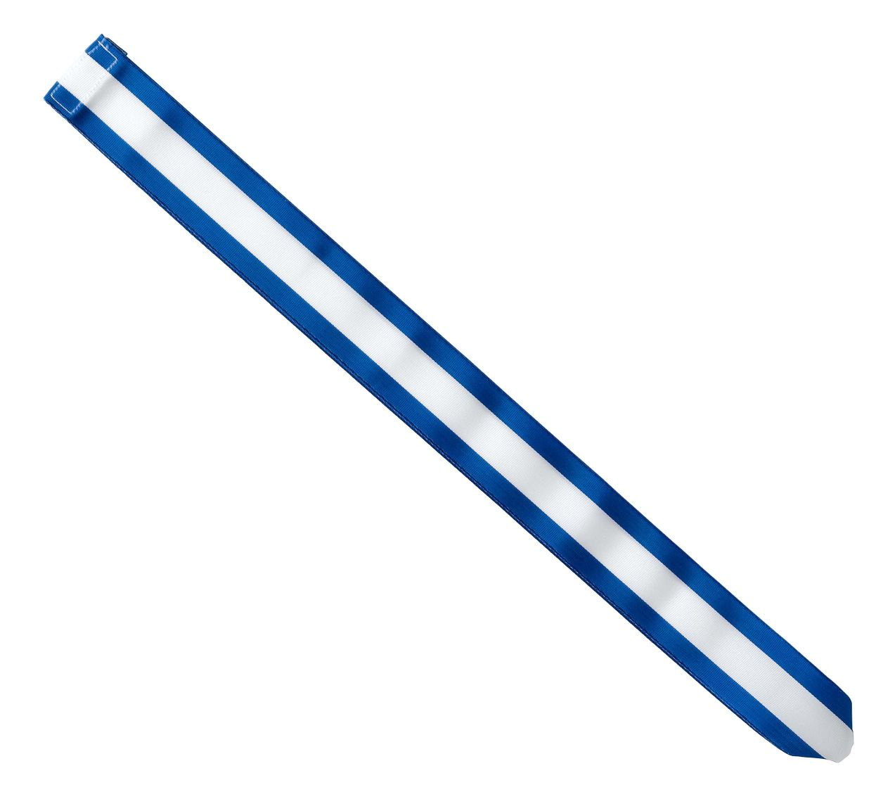 Silver Beaver Ribbon