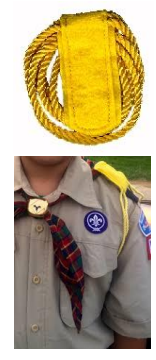 Cub Scout Denner and Assistant Denner Tab