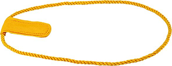 Cub Scout Assistant Denner Shoulder Cords