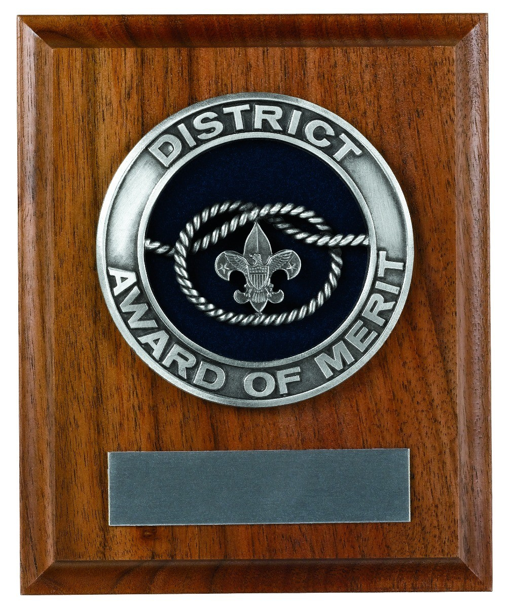 District Award of Merit Plaque